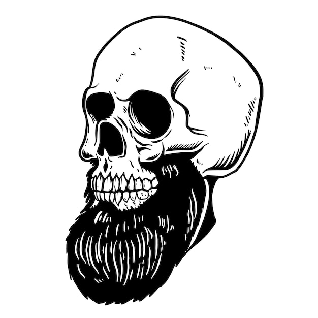 Ilustración de dibujado a mano de cráneo barbudo. elemento para cartel, tarjeta, camiseta, emblema, signo. ilustración