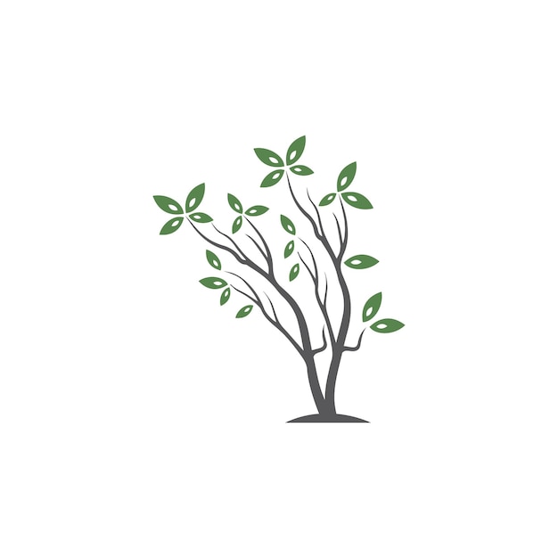 Ilustración de dibujado a mano de vector de árbol de plantilla de diseño de vector de olivo