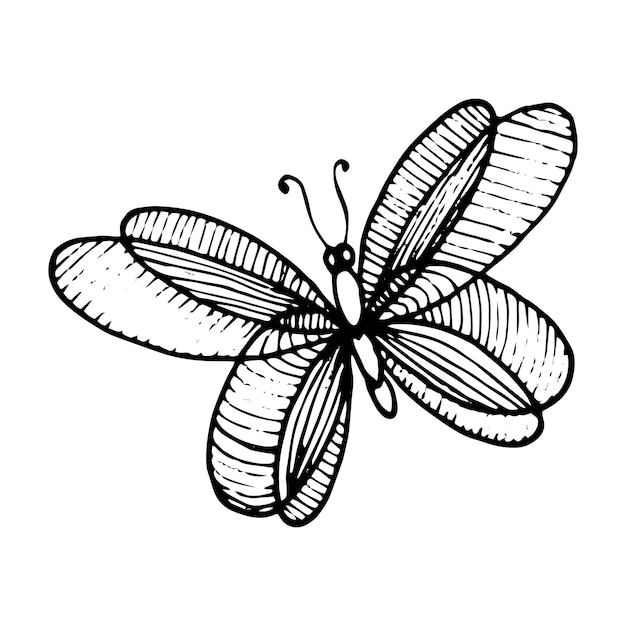 Ilustración de dibujado a mano de vector de mariposa estilizada Dibujo de una mariposa en blanco y negro