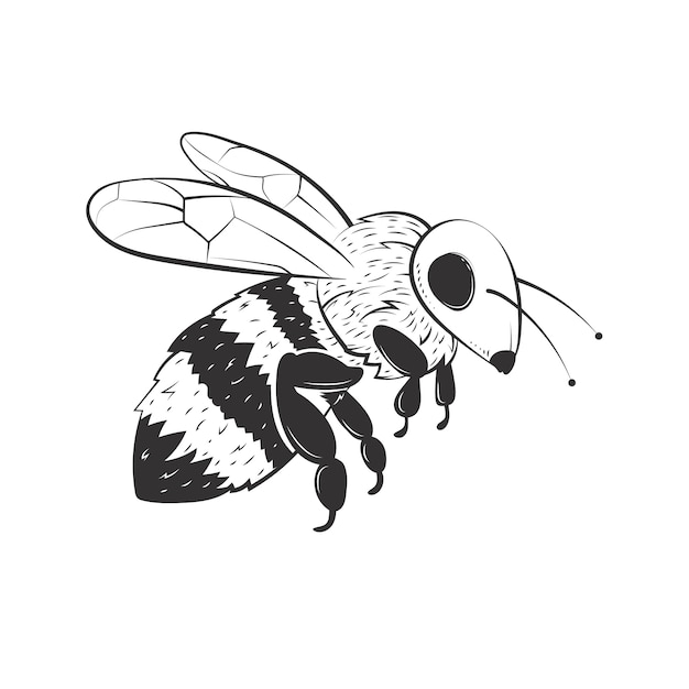 Vector ilustración de dibujo de abeja dibujada a mano