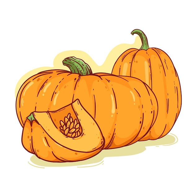 Ilustración de dibujo de calabaza dibujada a mano