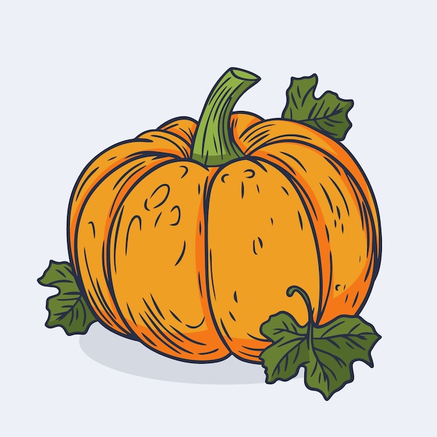 Vector ilustración de dibujo de calabaza dibujada a mano