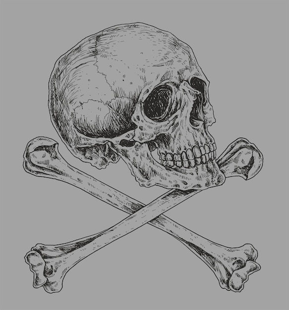 Ilustración de dibujo de calavera y tibias cruzadas