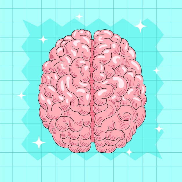 Vector ilustración de dibujo cerebral dibujada a mano