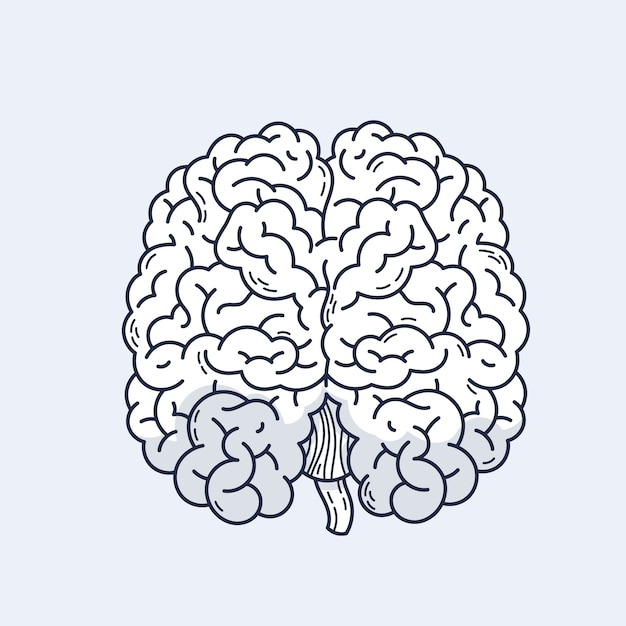 Vector ilustración de dibujo cerebral dibujada a mano