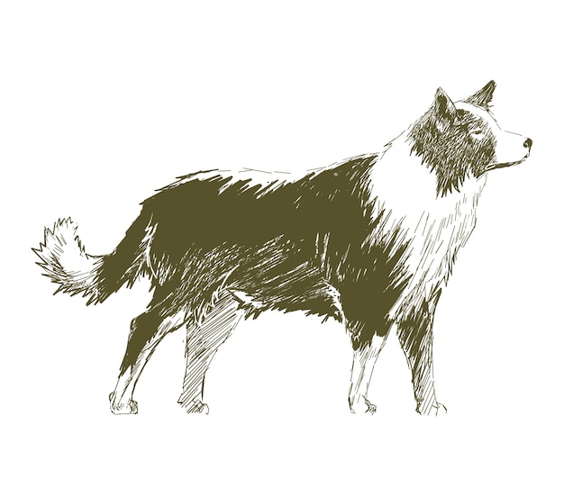 Ilustración de dibujo estilo de perro.