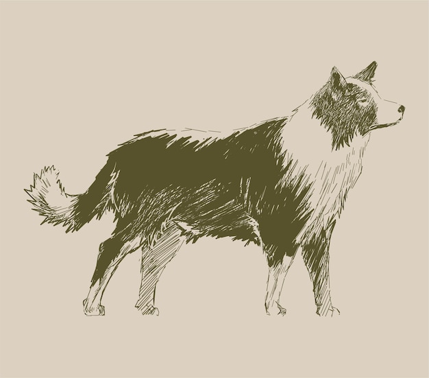Ilustración de dibujo estilo de perro.