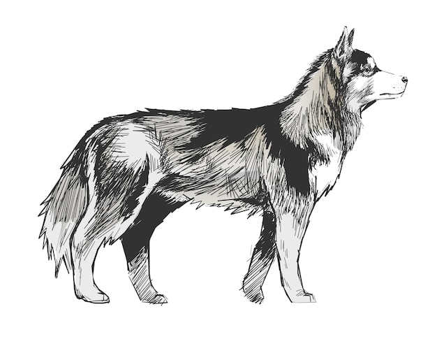 Ilustración de dibujo estilo de perro.