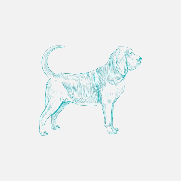 Vector ilustración de dibujo estilo de perro.