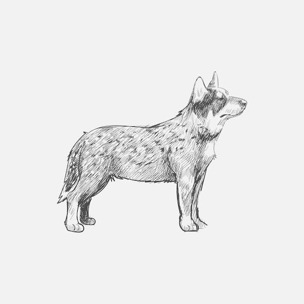 Ilustración de dibujo estilo de perro.