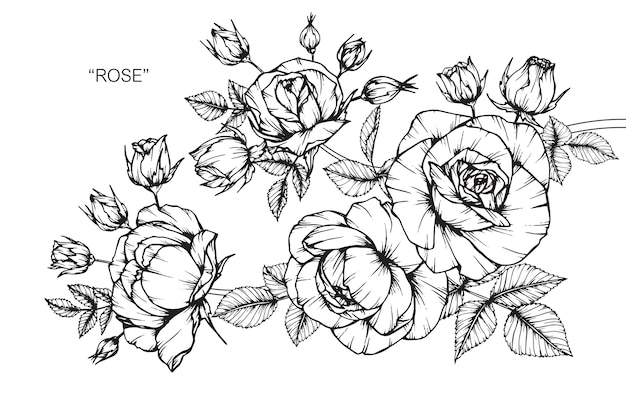 Ilustración de dibujo de flor rosa.