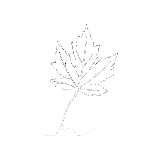 Ilustración de dibujo de una línea de vector de hoja de arce