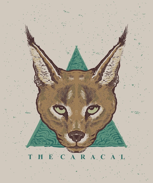 Vector ilustración de dibujo a mano de cara de gato caracal