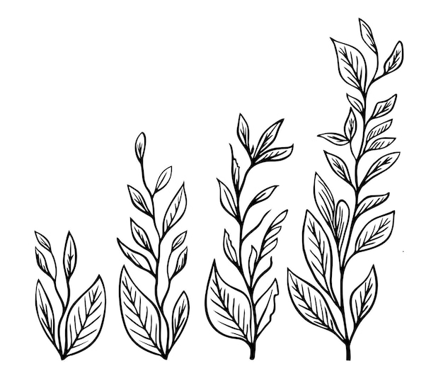 Ilustración de dibujo a mano de la rama de un árbol rama negra y blanca con colección de hojas diseño de boceto