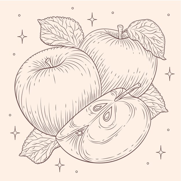 Vector ilustración de dibujo de manzana dibujada a mano
