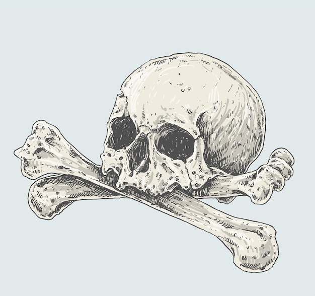 Ilustración de dibujo realista de calavera y tibias cruzadas