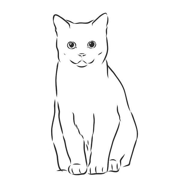 Ilustración de dibujo vectorial realista de gato doméstico el signo del gato