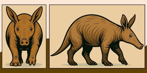 Ilustración de dibujos animados de Aardvark de frente y de lado