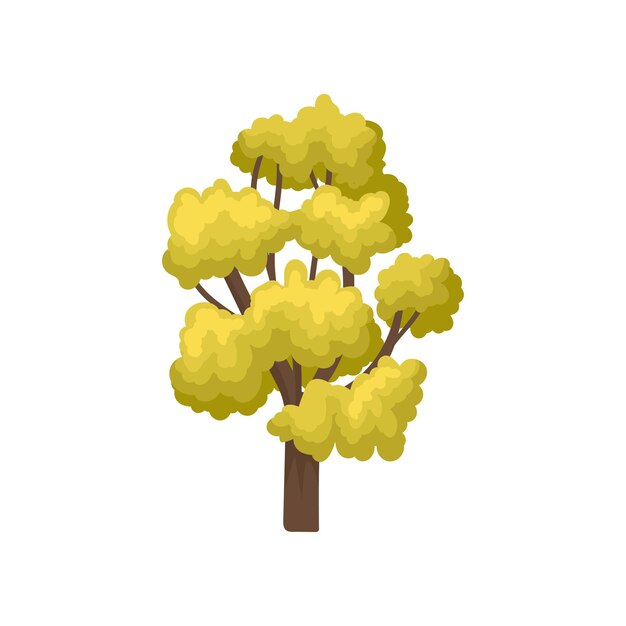 Ilustración de dibujos animados de un árbol grande con muchas ramas y hojas verdes brillantes Elemento natural del bosque o parque de otoño Tema de la naturaleza Icono vectorial colorido en estilo plano aislado sobre fondo blanco