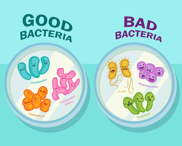 Vector ilustración de dibujos animados de bacterias buenas y malas en una placa de petri, vista superior