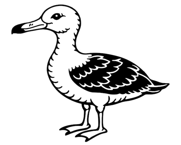 Ilustración de dibujos animados en blanco y negro de la gaviota para libro de colorear