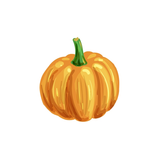 Ilustración de dibujos animados de calabaza objeto aislado fondo blanco