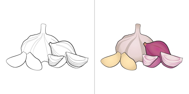 ilustración de dibujos animados de cebolla y ajo