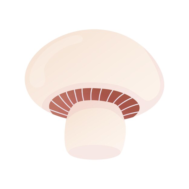 Ilustración de dibujos animados de Champignon setas comestibles aisladas en blanco Ilustración vectorial