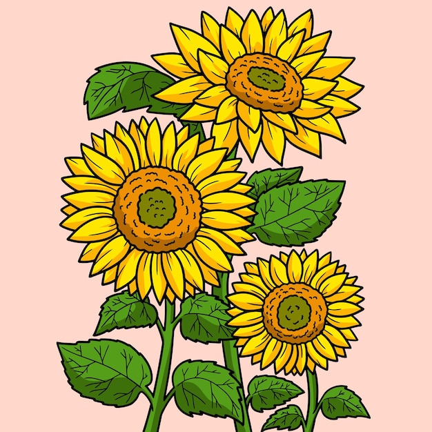 Vector ilustración de dibujos animados de color de flor de girasol