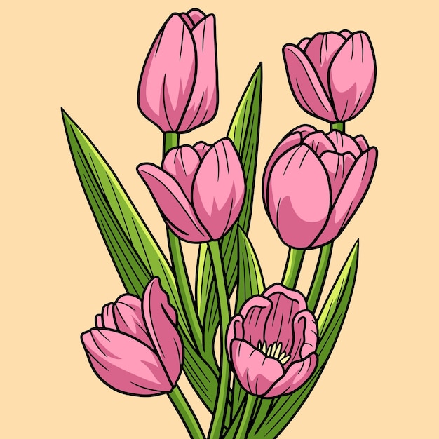 Vector ilustración de dibujos animados de color de flor de tulipán