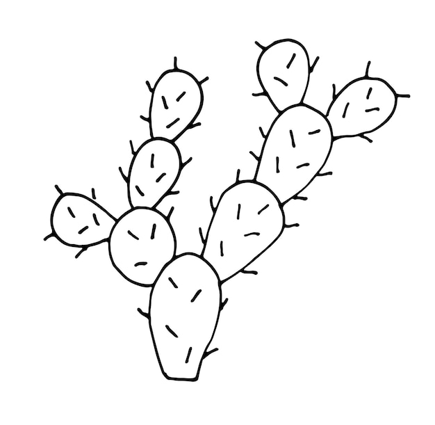 Ilustración de dibujos animados de doodle de vector de cactus dibujado a mano