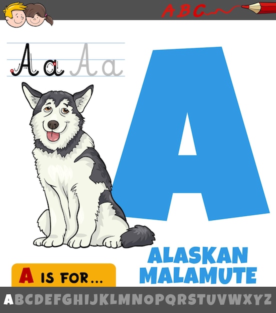 Ilustración de dibujos animados educativos de la letra A del alfabeto con carácter animal perro malamute de Alaska