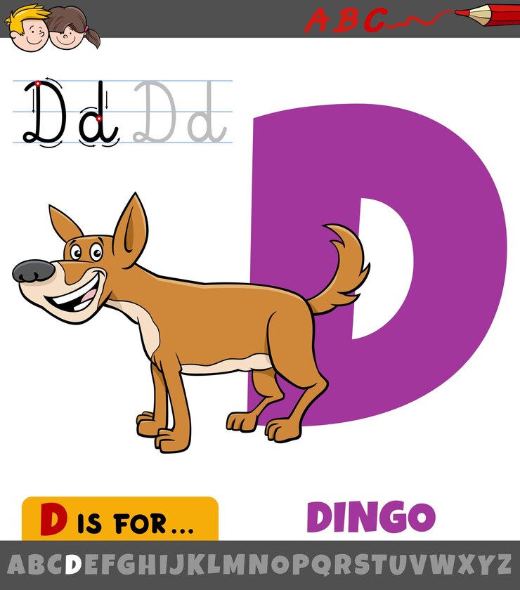 Vector ilustración de dibujos animados educativos de la letra d del alfabeto con carácter animal dingo