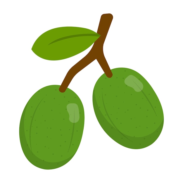 Ilustración de dibujos animados de frutas de Kedondong
