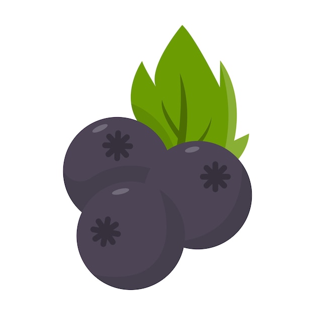 Ilustración de dibujos animados de frutas de saúco