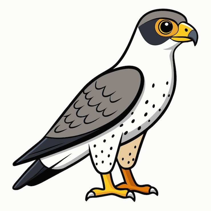 Vector ilustración de dibujos animados de halcón aislado en fondo blanco