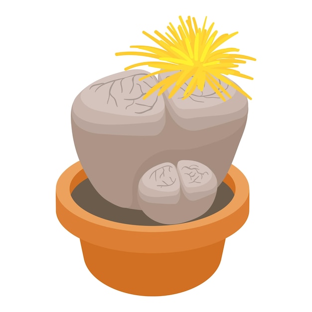Ilustración de dibujos animados de icono de cactus de piedra viva del icono de vector de cactus de piedra viva para web