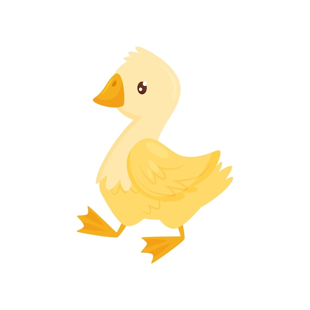 Ilustración de dibujos animados de un lindo pato joven, animal de granja, pájaro pequeño con plumas amarillas, pico y patas naranjas, tema de la avicultura, icono vectorial colorido en estilo plano aislado sobre fondo blanco.