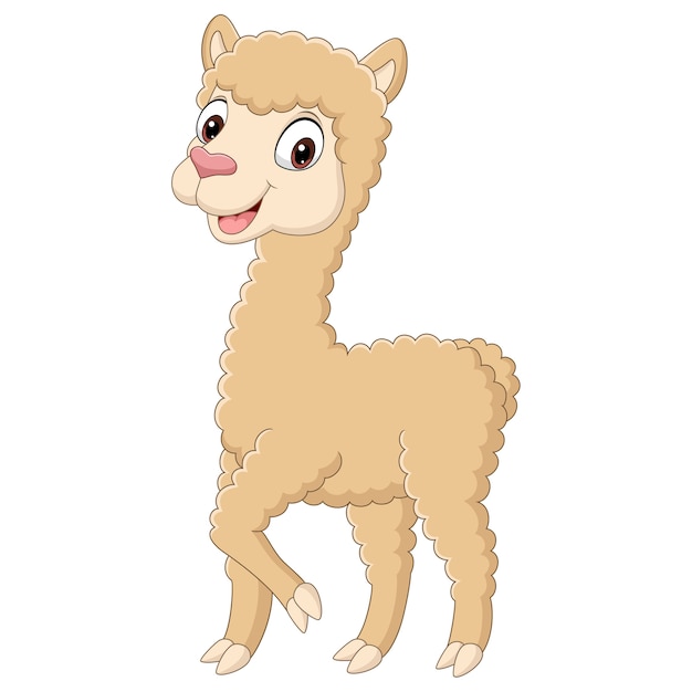 Ilustración de dibujos animados lindo pequeño alpaca
