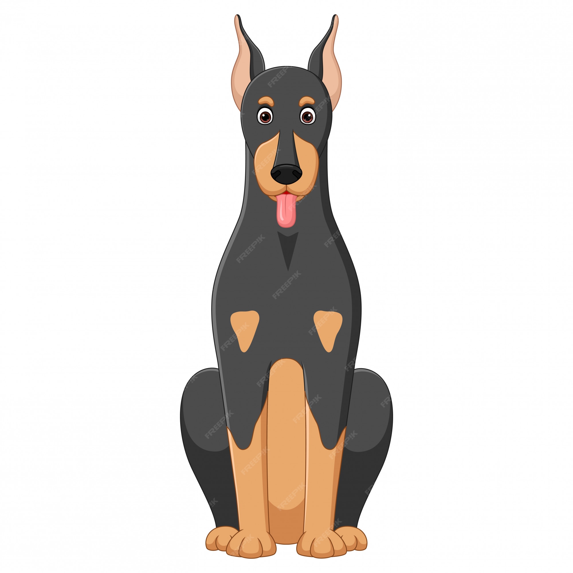 Ilustración de dibujos animados de perro doberman sentado sobre fondo  blanco | Vector Premium
