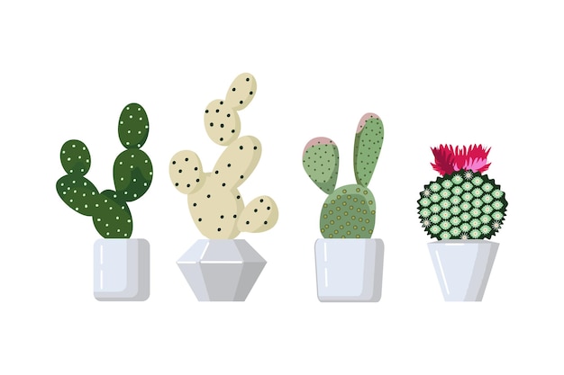 Vector ilustración de dibujos animados plano de vector conjunto de cactus