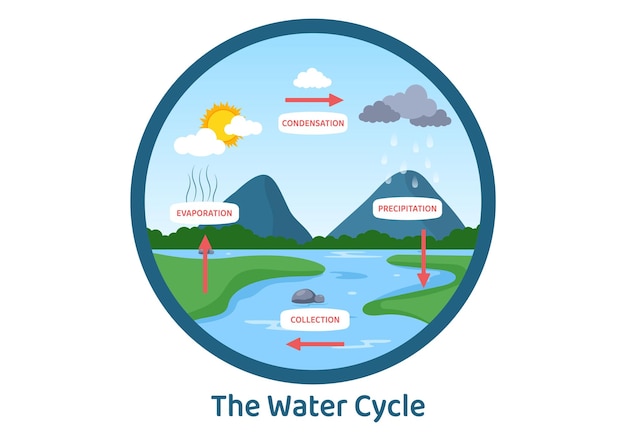 Vector ilustración de dibujos animados planos del ciclo del agua en el entorno natural de la tierra