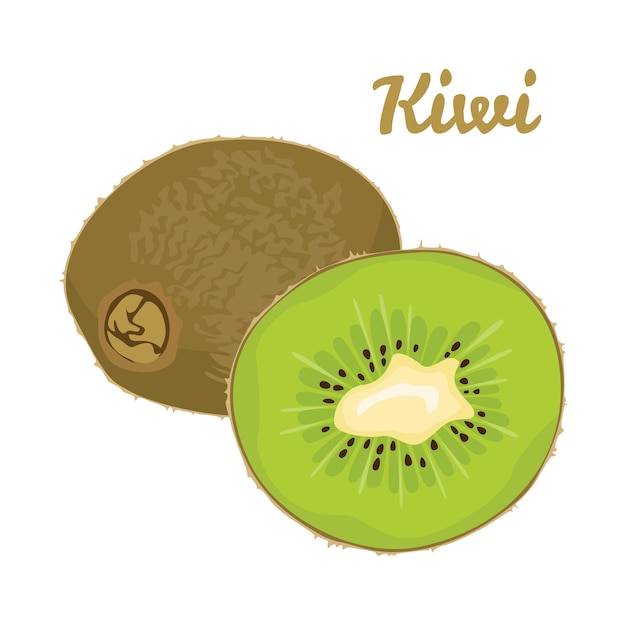 Vector ilustración de dibujos animados de vector de fruta de kiwi