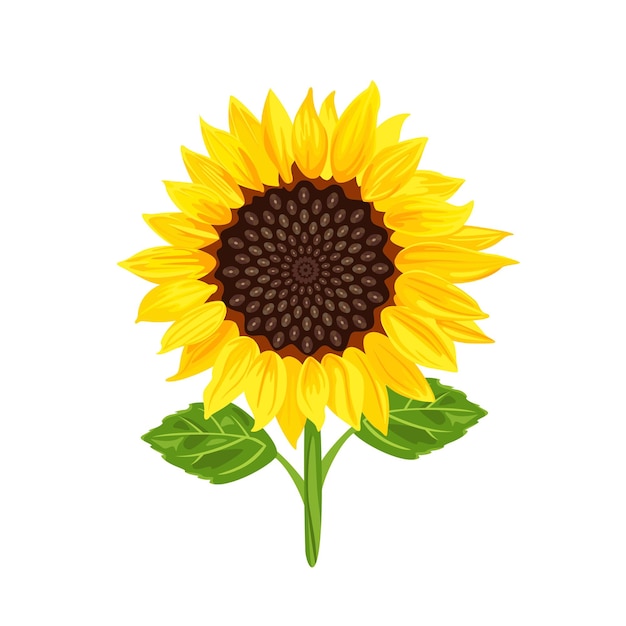 Ilustración de dibujos animados vectoriales de girasoles