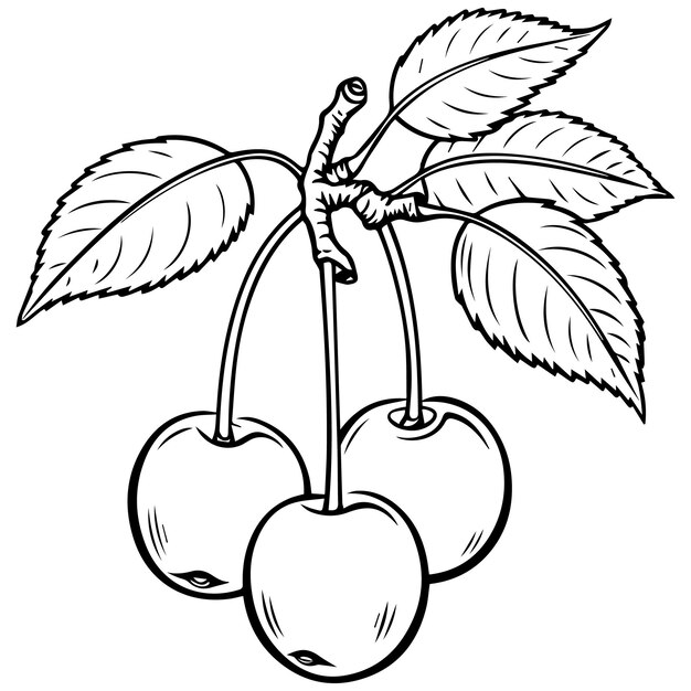 Vector ilustración de dibujos animados vectoriales de manzana con hojas libro de colorear