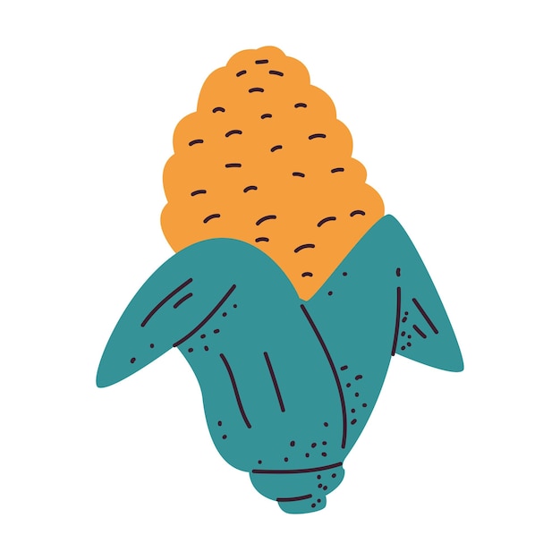 Ilustración de dibujos animados vectoriales de mazorcas de maíz aislados sobre un fondo blanco