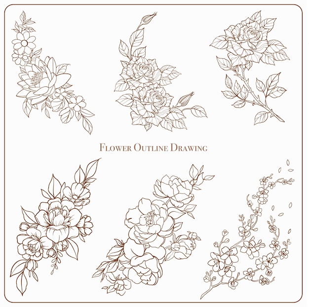 Ilustración de dibujos de contornos de flores por vectores