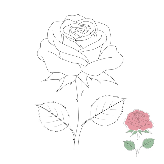 Ilustración de diseño artístico de la línea de rosas dibujada a mano