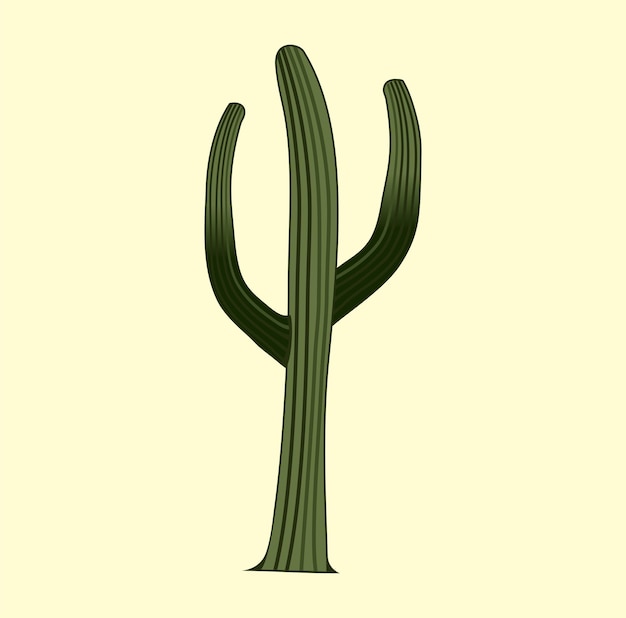 Ilustración de diseño de dibujos animados de cacto saguaro