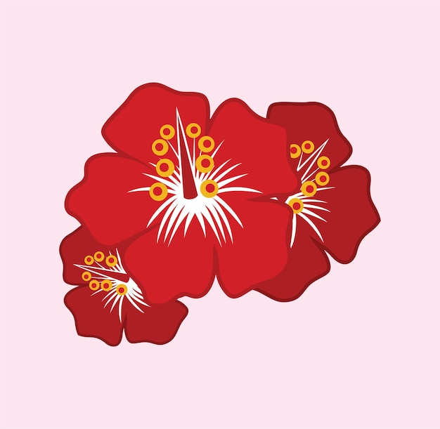 Vector ilustración de diseño de flor de hibisco